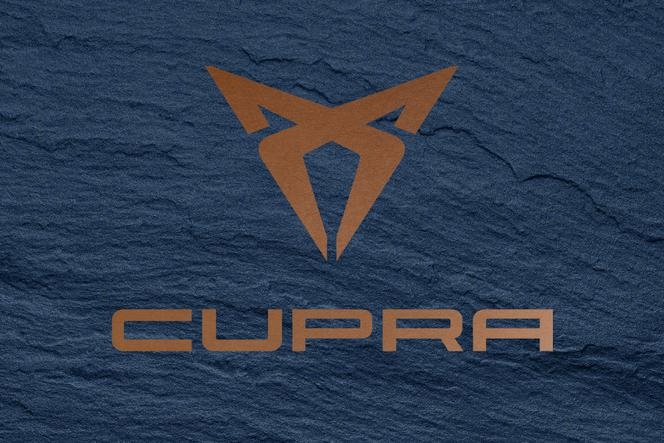 фото №13, Шумоизоляция капота двигателя cupra formentor оригинал 5fa863831