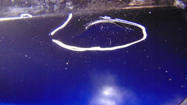 фото №11, Бампер перед переднє exy citroen c4 picasso i 07+