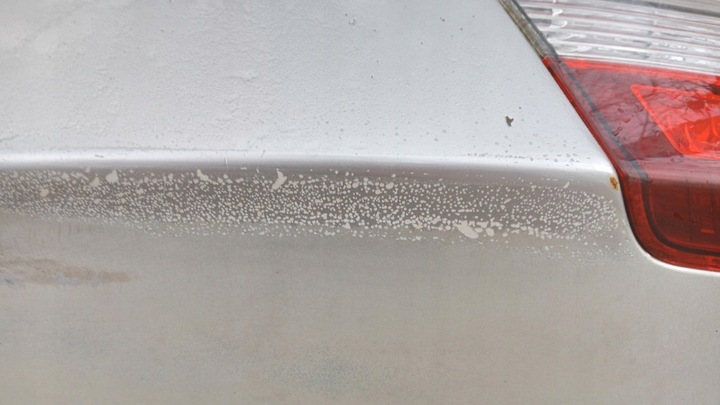 фото №7, Renault laguna iii hb кришка зад ted69