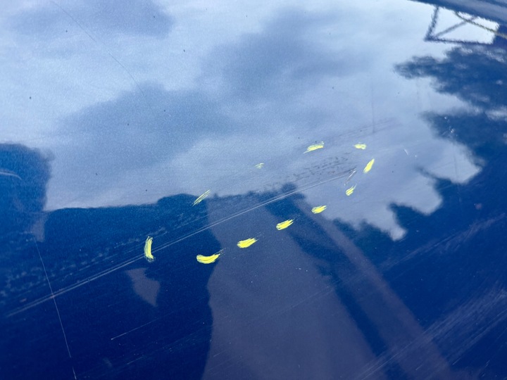 фото №12, Peugeot 301 citroen c-elysee 13r- двері праві передні праві перед