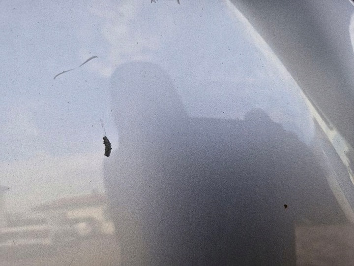 фото №13, Toyota rav4 iii 3 капот крышка двигателя перед передняя