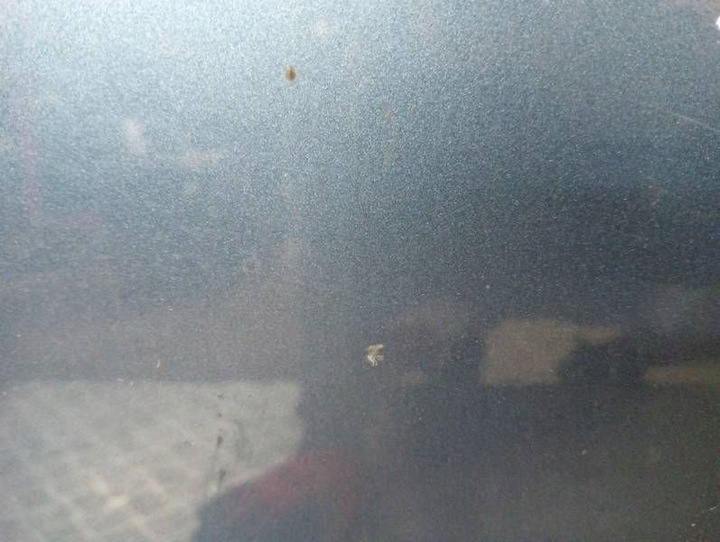 фото №7, Дверь перед передние правые vw passat b8 lb5j