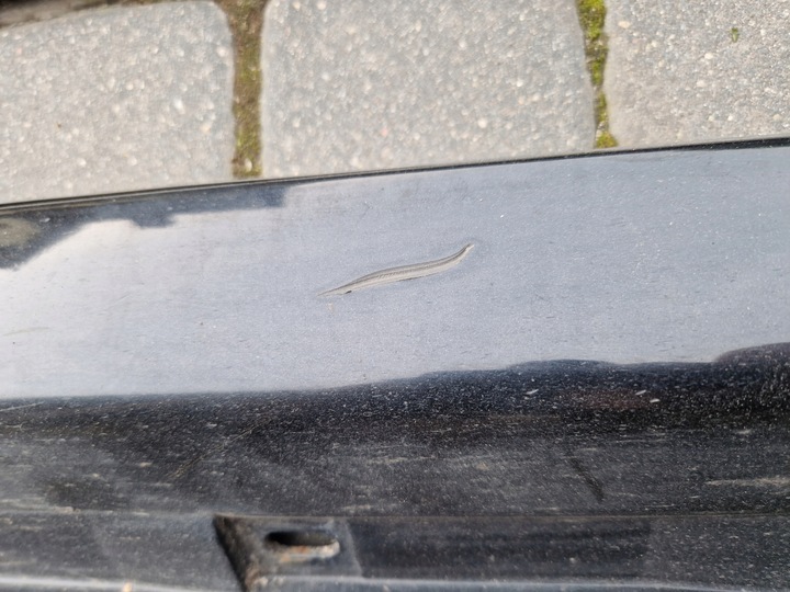 фото №8, Накладка планка пороговая порог lz9y audi a4 b7 универсал 2004-2008 2.0 tdi