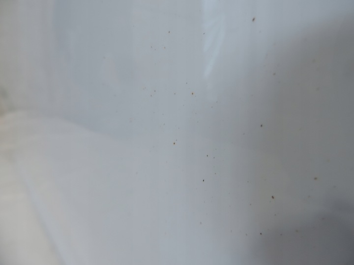 фото №9, Ford focus iii mk3 двері правий перед комплектні