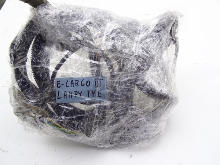 фото №9, Iveco eurocargo iii 06-15 джгут рами лампи зад