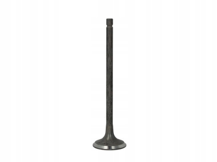FRECCIA R6604/RNT SOUPAPE ÉCHAPPEMENT pnis128