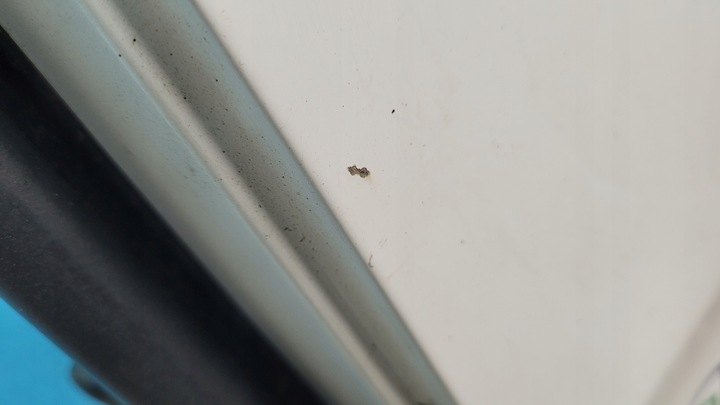 фото №11, Toyota proace ii 20r дверь крыло зад правые