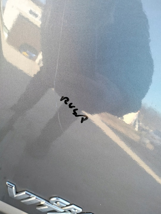 фото №10, Кришка багажника suzuki grand vitara ii 3d роки 2005-2014 колір zdl