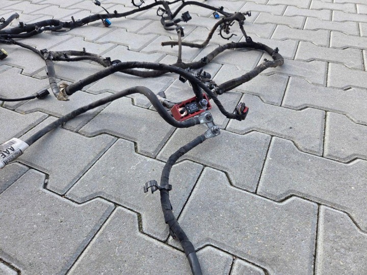 фото №12, Джгут двигуна ford kv6t12c508 1.5l дизель 2019