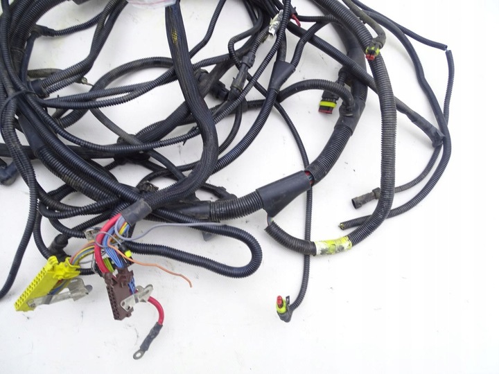 фото №3, Daf lf 45 55 01-06 e3 жгут установка рамы