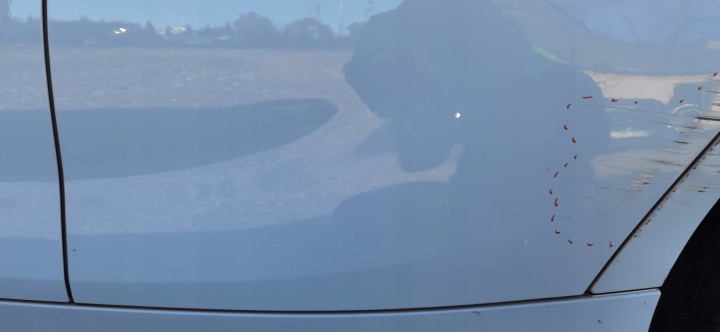 фото №7, Двері ліві зад bmw f20 a300 альпійський білий 3