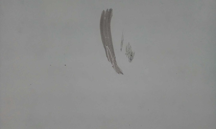 фото №5, Стекло лобовое mercedes e-klasa w213 2016- камеры