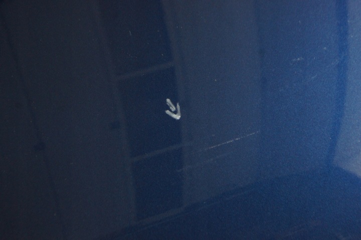 фото №12, Audi a3 8v lx5q s-line перед капот бампер лампы