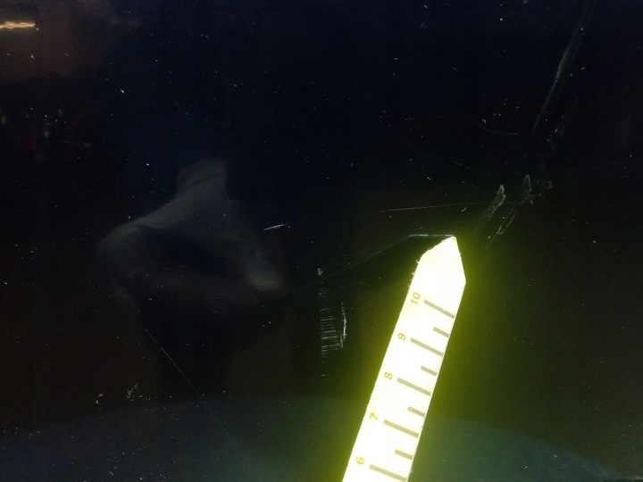 фото №11, Honda civic viii fd sedan 07- двері зад праві задні b-536p