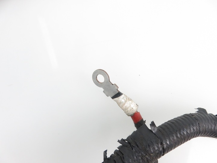 фото №7, Жгут двигателя ford mondeo v 2.0 tdci j1gt-10c679-aa