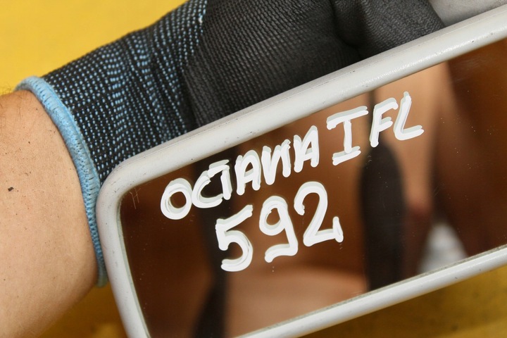 фото №7, Зеркало внутренние octavia i fl