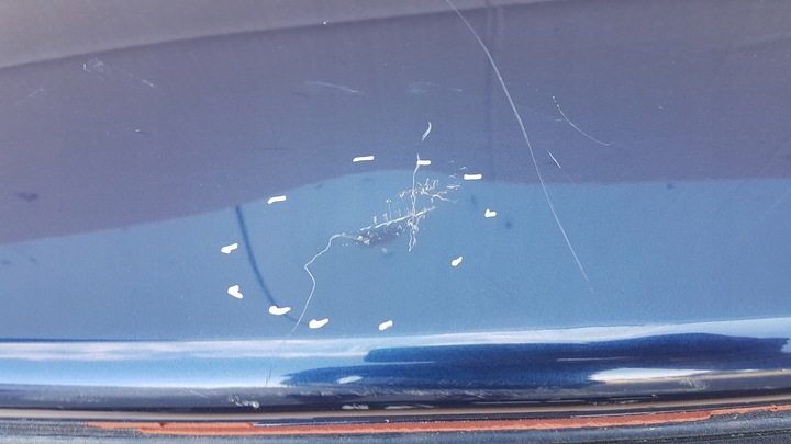 фото №8, Кришка багажника зад bmw x3 f25 10-