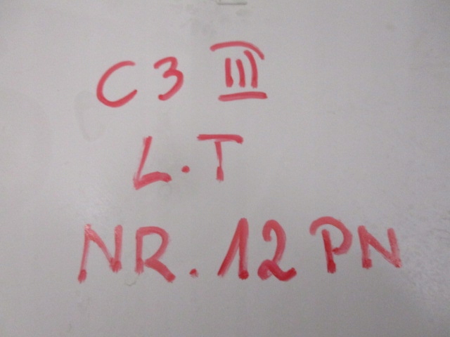 фото №10, C3 iii боковина оббивка двері лівий задній
