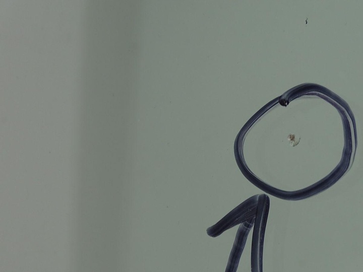 фото №3, Daf lf 45 55 01-13 скло лобове перед передня #3