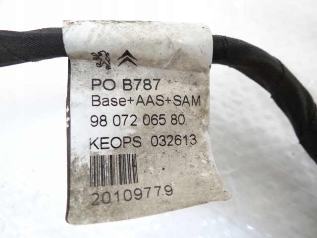 фото №7, Citroen c4 picasso ii установка датчиків паркування 6 pdc 9807206580