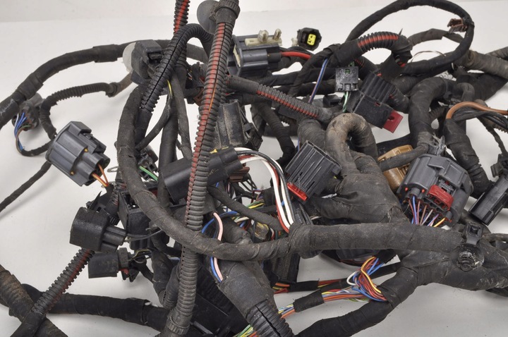 фото №14, Aston martin db9 6.0 джгут електричний камери двигуна 4g43-14290-ae