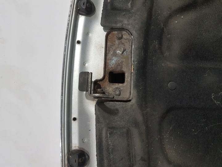 фото №7, Капот передняя tata indica tat717