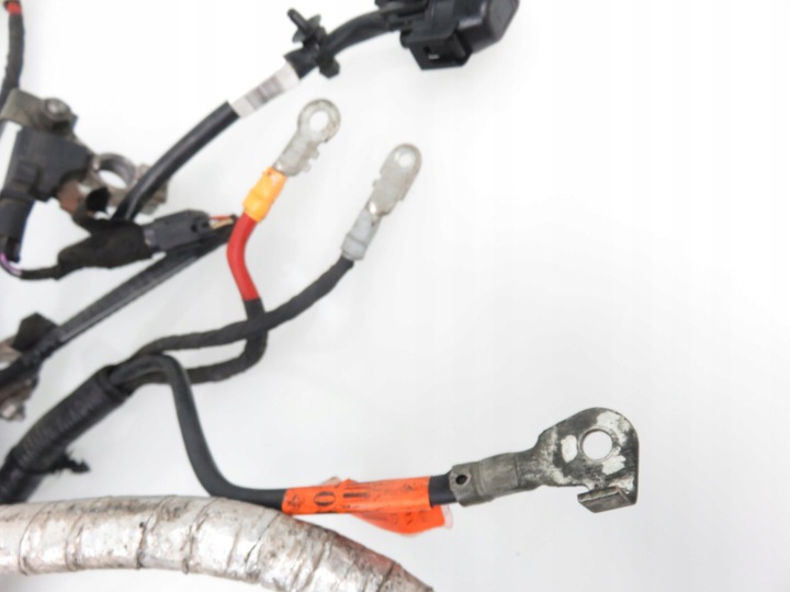 фото №8, Жгут двигателя ford mondeo v 2.0 tdci j1gt-10c679-aa