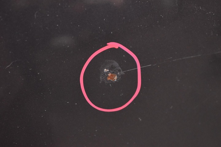 фото №7, Капот крышка двигателя a22/7 bmw e90 e91 04-10