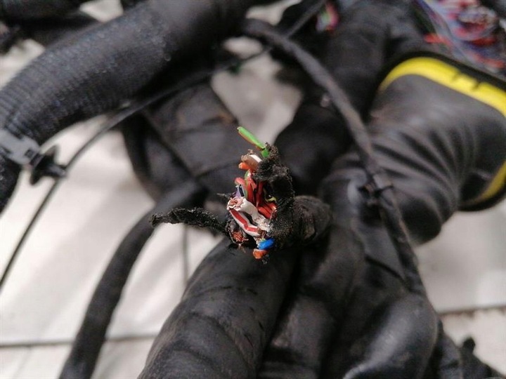 фото №15, Ferrari roma f169 проводка loom rhd основний harness