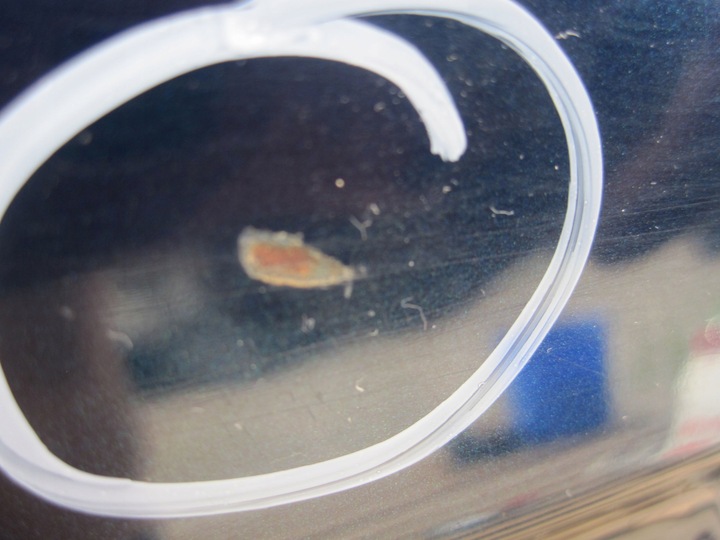 фото №8, Bmw e38 рестайлінг 01r двері ліві зад