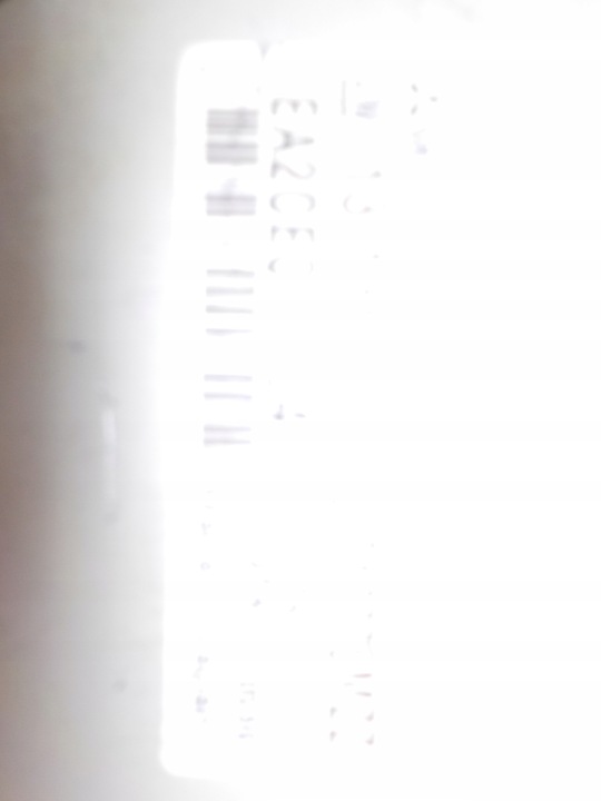 фото №8, Колонка кермова підсилювач електричні 13136672