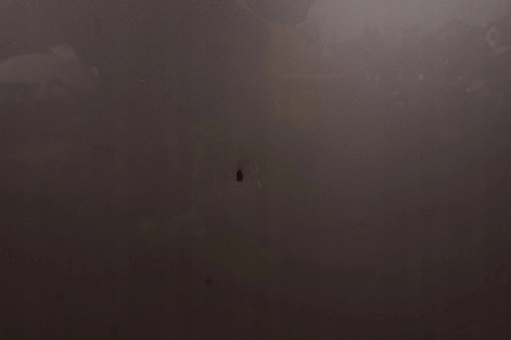 фото №7, Бампер комплектный перед kia carens iii 3