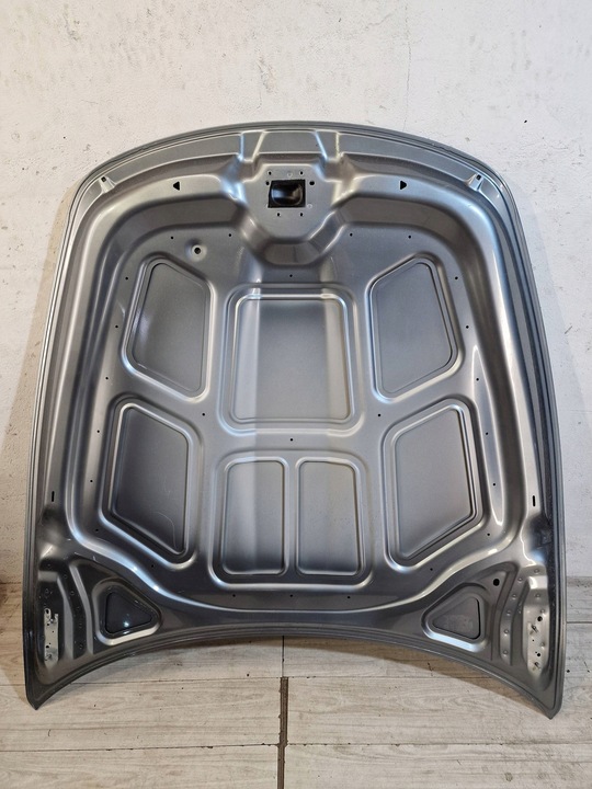 фото №7, Капот ferrari roma f169