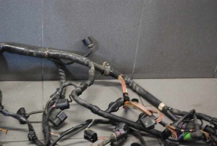 фото №10, Джгут двигуна audi a4 b6 3.0 asn eu 8e1971072qc