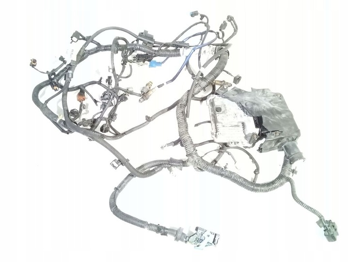 фото №8, Ford focus mk3 1.0 компьютер + жгут двигателя