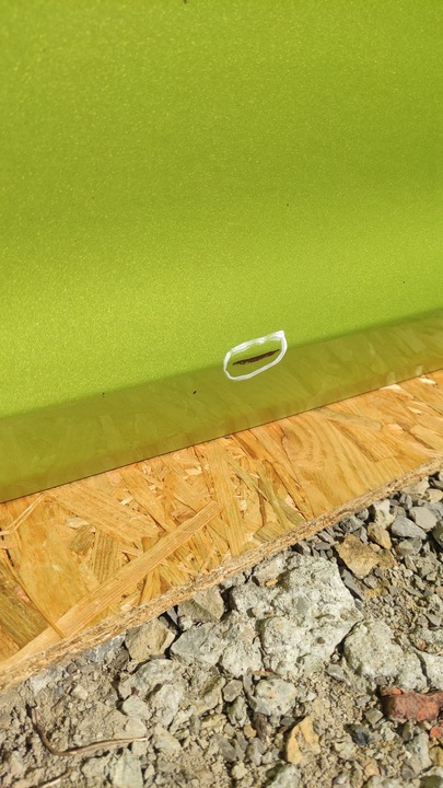 фото №6, Двері лівий перед ліві передні ford fiesta mk7 5d usa 12рік код фарби sq