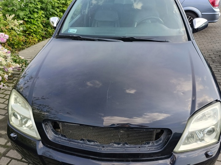 фото №1, Opel signum /vectra c 03-08 капот, код краски z20r