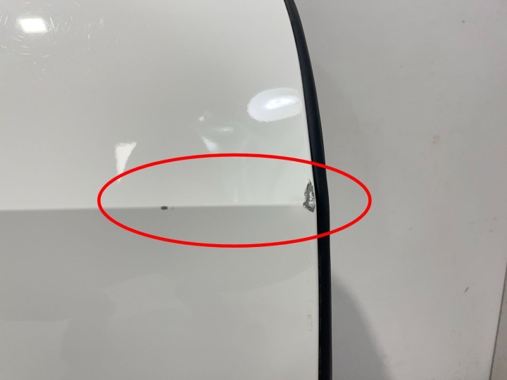 фото №11, Дверь передние перед сторона правая bmw x7 g07 8738556