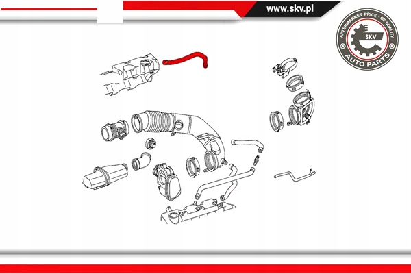 фото №9, Шланг масляный 31skv117 # 921 mercedes-benz clk 3.2 4.3 5.5 s-class