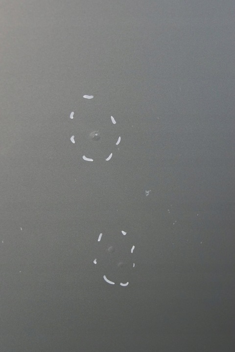 фото №13, Капот крышка двигателя mercedes a w169 761 m580