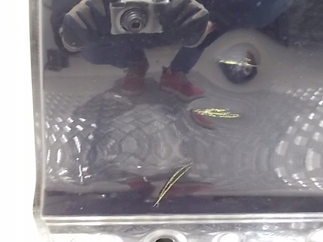 фото №8, Дверь левый зад renault megane iii hb 08-15 оригинал