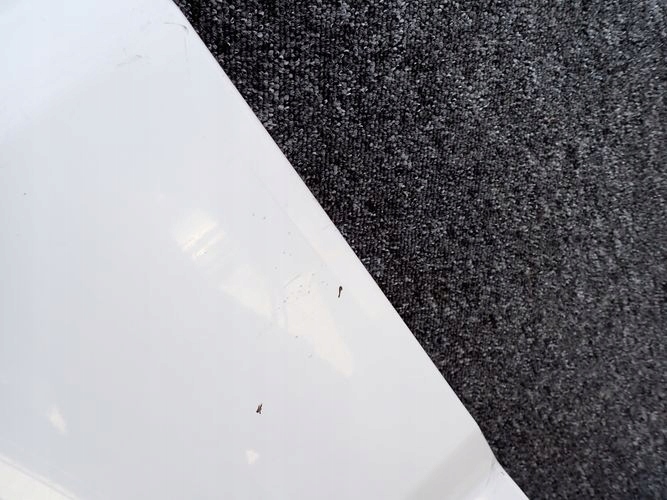 фото №12, Ducato boxer jumper двойной кабина 06- дверь левая задние зад