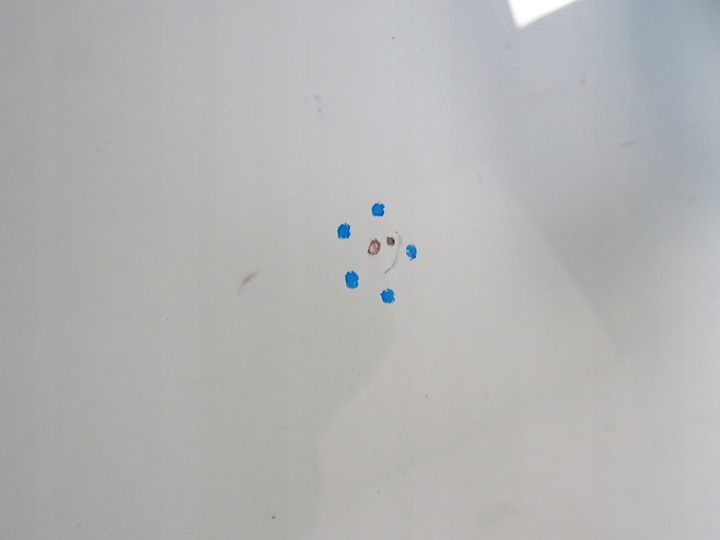 фото №5, Nissan juke рестайлінг f15 скло лобове передня