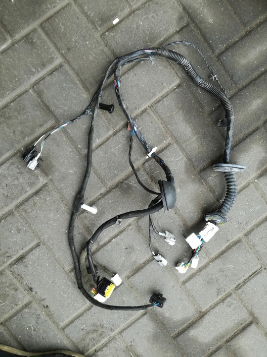 фото №1, Qashqai j10 2006 - 2013 год жгут установка дверь левый перед 24124br00e
