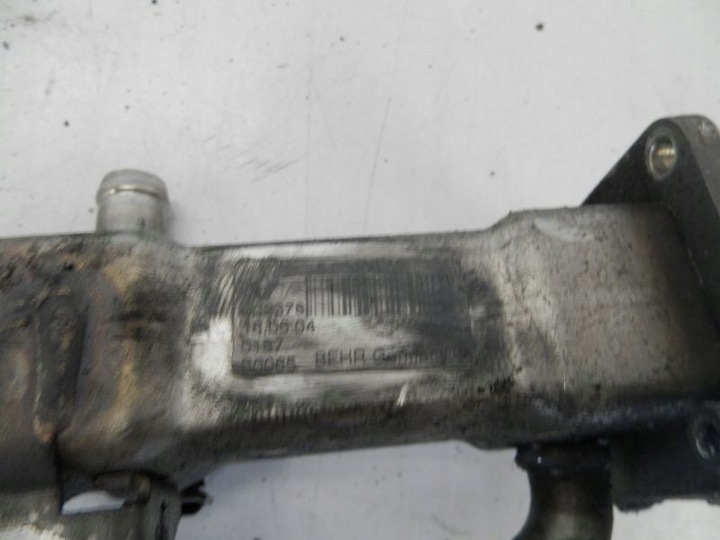 фото №5, Renault scenic ii радіаторів вихлопних газів 1,9dci