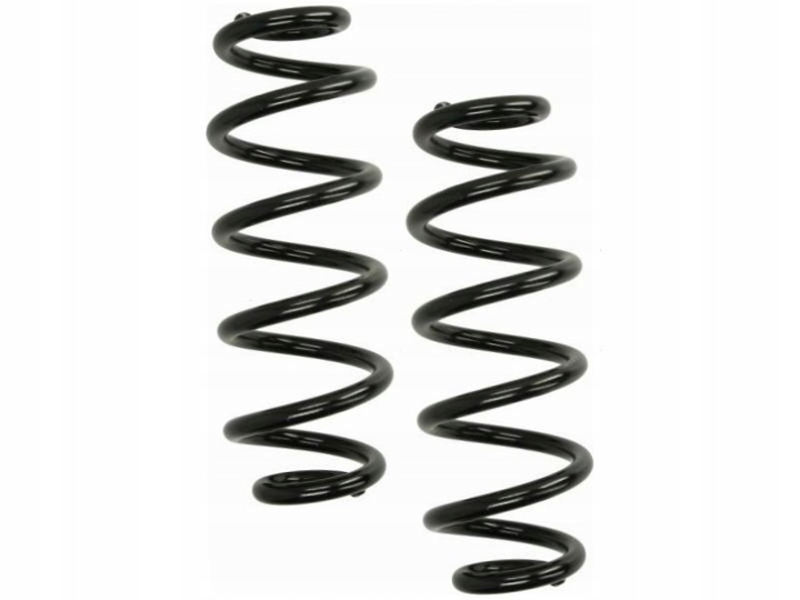 фото №1, Пружини зад kyb ra5461