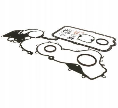 фото №1, Starline комплект ущільнювач dol двигуна nissan