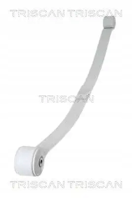 фото №2, Ресора листовий зад 1-piórowy 8765 16048 triscan