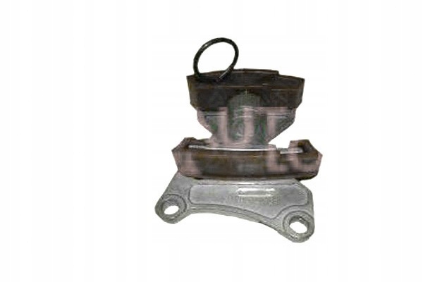 фото №8, Натягувач ланцюга розподільний вал