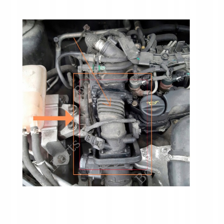 фото №6, Труба колектора впускного ford c-max 1.6 tdci focus c-max focus ii 1.6 tdci